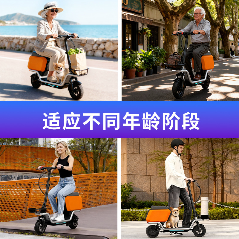 Adult Escooter electric scoote - đánh giá và giá Electric Scooter