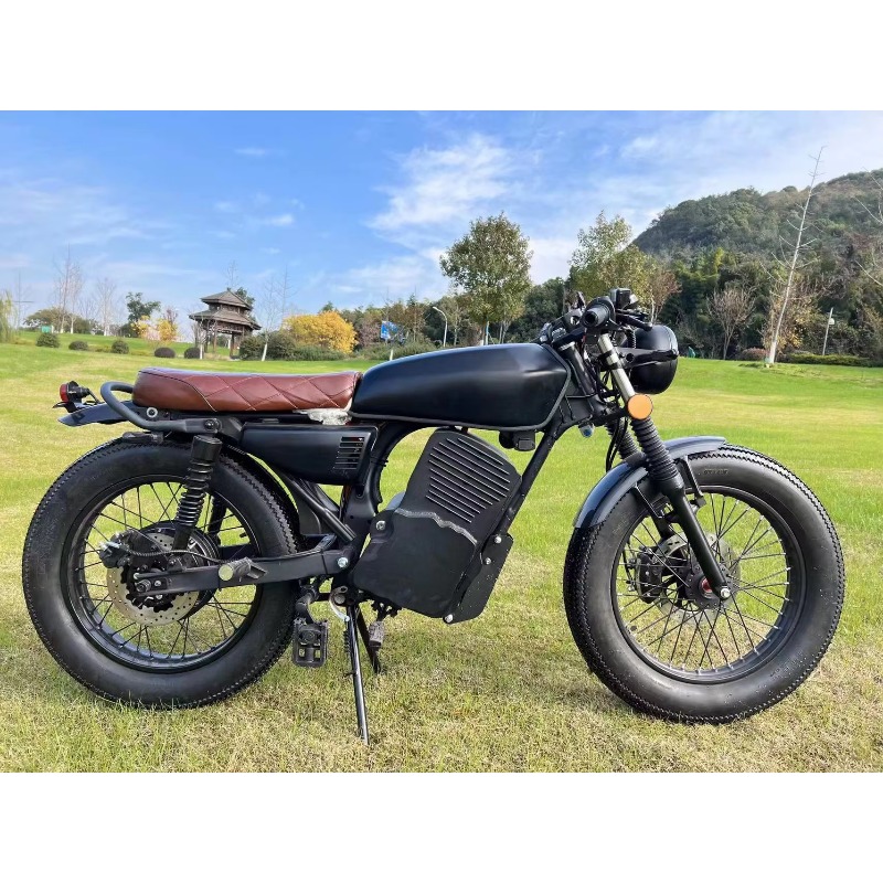 Lvyuan China Factory Direct Sa - đánh giá và giá Electric Scooter Adults