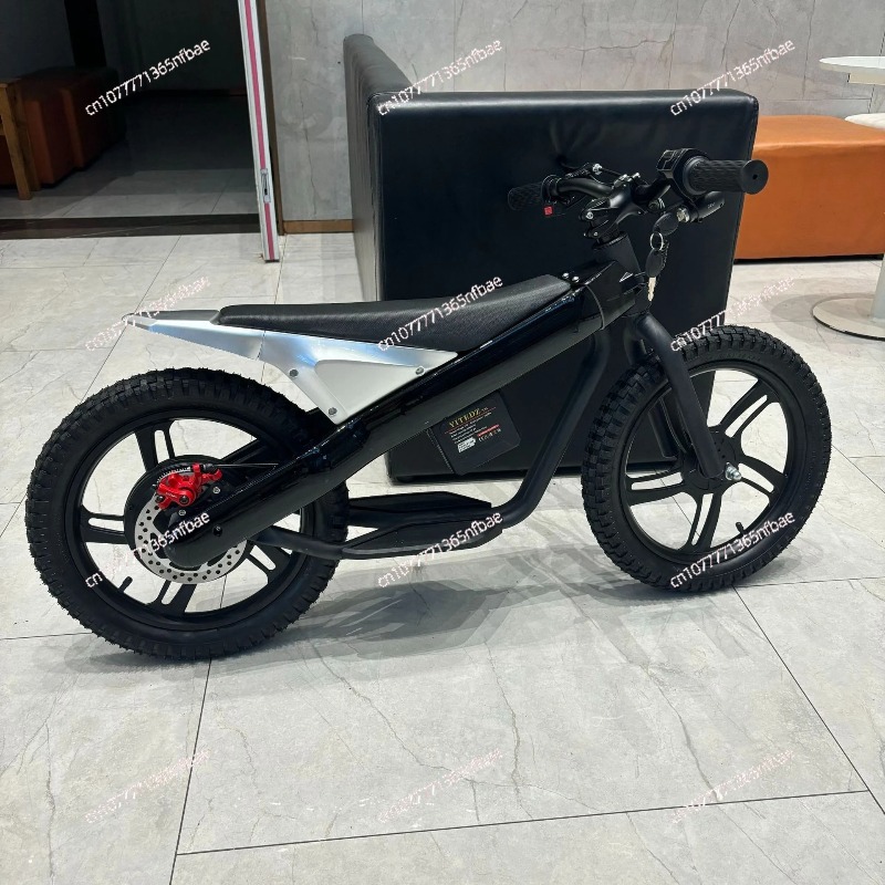 16 Inch Kids Electric Balance  - đánh giá và giá Kids Electric Scooter