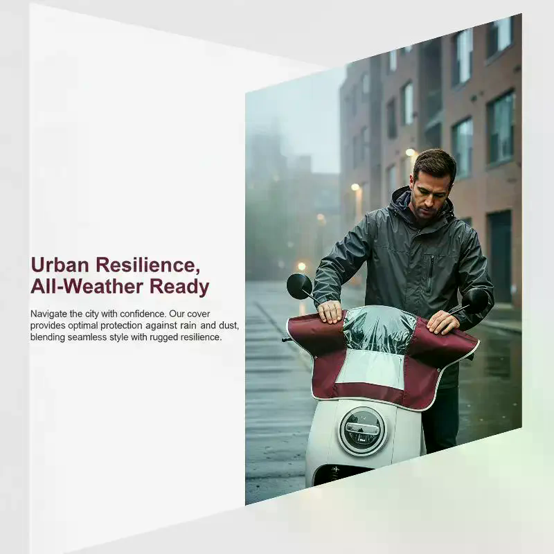 Electric Scooter Dashboard Rai - đánh giá và giá Electric Scooter Rain Cover